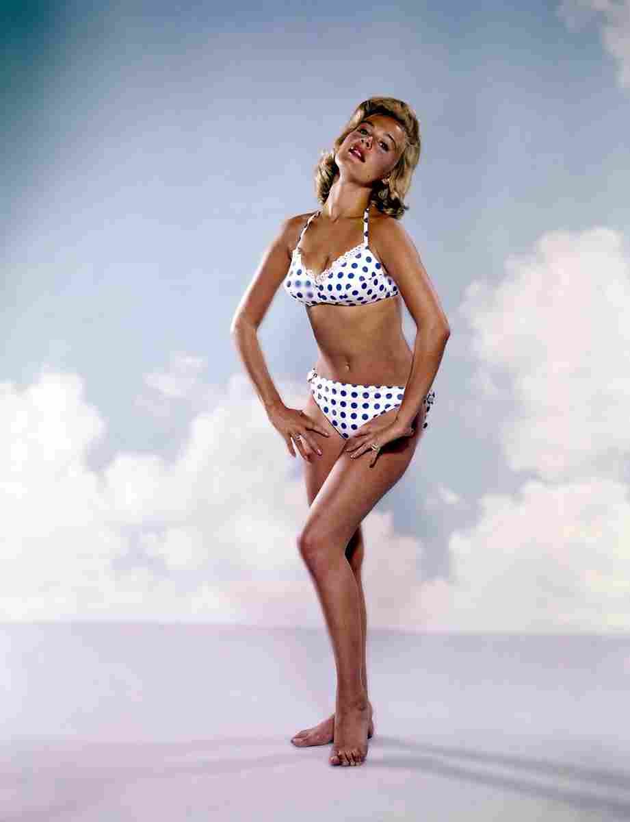 Dee Sandra 6 film star poster A4 Photo Print