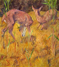 Deer In The Reed Marc Impressionism A4 Photo Print