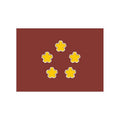 Defenceminister Flag N2588 A4 Photo Print