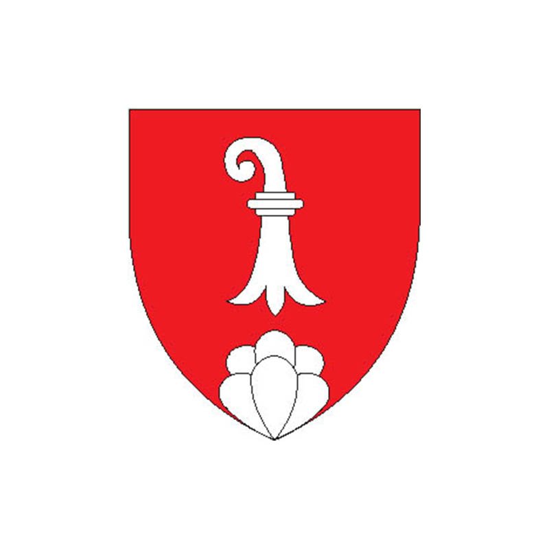 Delemont Dist Coat Of Arms N4287 A4 Photo Print