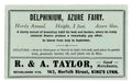 Delphinium Azure Fairy Vintage Retro Advert Poster A4 Photo Print