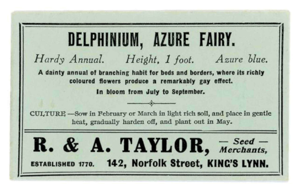 Delphinium Azure Fairy Vintage Retro Advert Poster A4 Photo Print