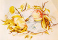 Demuth Charles American 1883 19353 Art A4 Photo Print