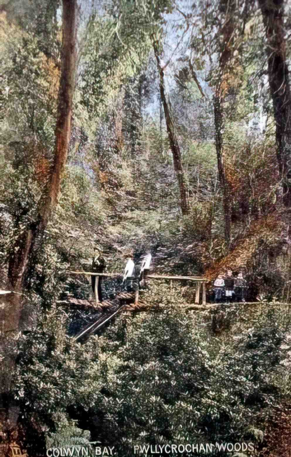 Denbighshire Colwyn Bay Pwllcrochan Woods 1907 Vintage A4 Photo Print