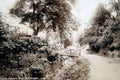 Denbighshire Colwyn Bay The Dingle 1907 Vintage A4 Photo Print
