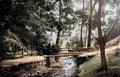 Denbighshire Colwyn Bay The Dingle III Vintage A4 Photo Print