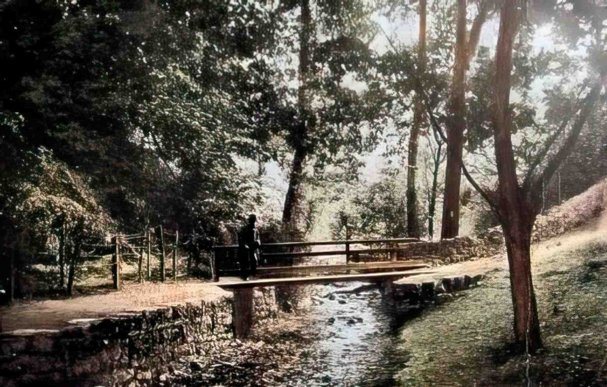 Denbighshire Colwyn Bay The Dingle III Vintage A4 Photo Print