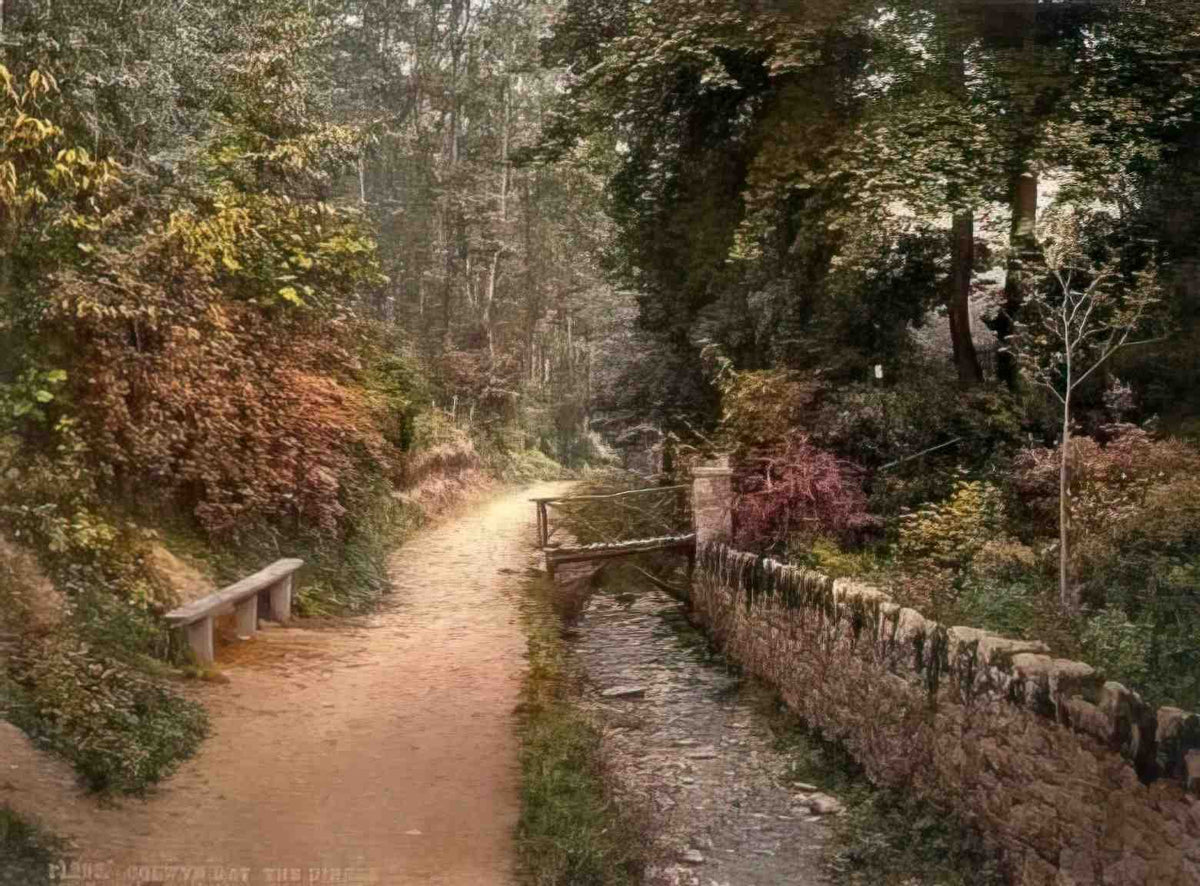 Denbighshire Colwyn Bay The Dingle Vintage A4 Photo Print