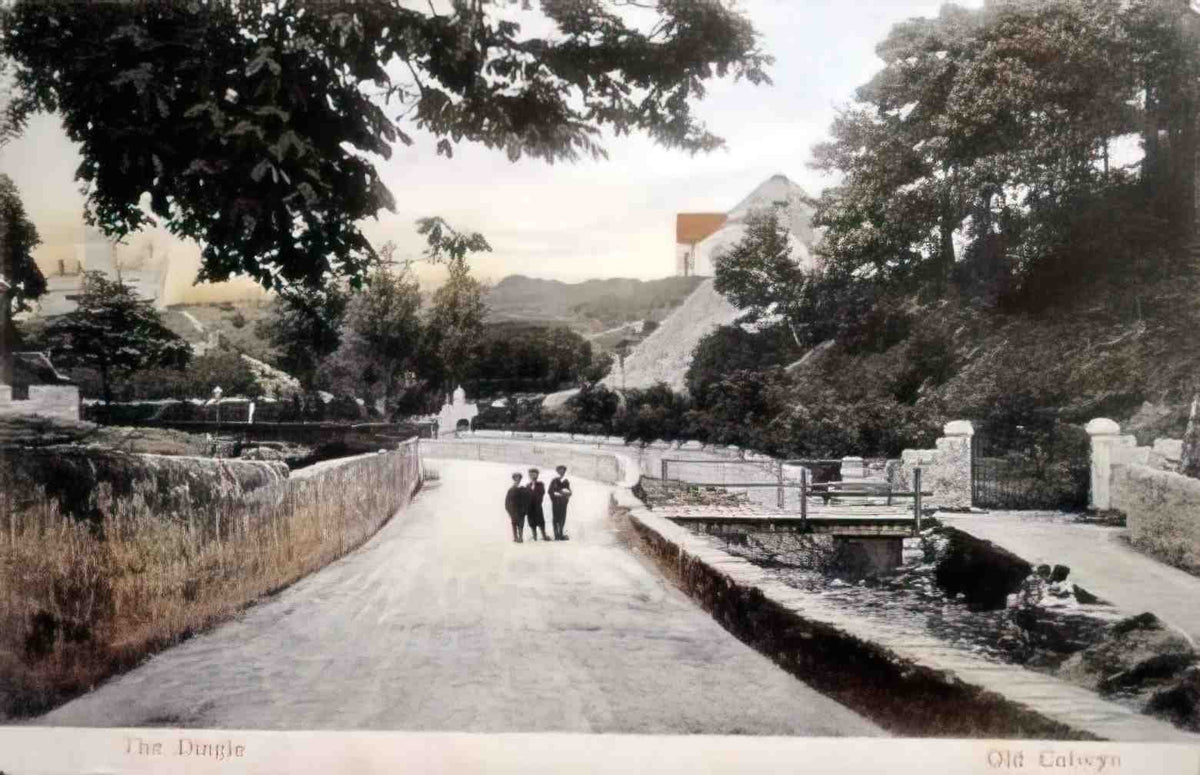 Denbighshire Old Colwyn The Dingle 1908 Vintage A4 Photo Print