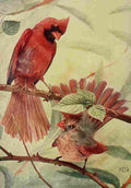 Denslow Henry Birds 1904 Cardinal Grosbeak A4 Photo Print