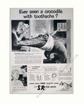 Dental Crocodile Wisdom Vintage Retro Advert Poster A4 Photo Print