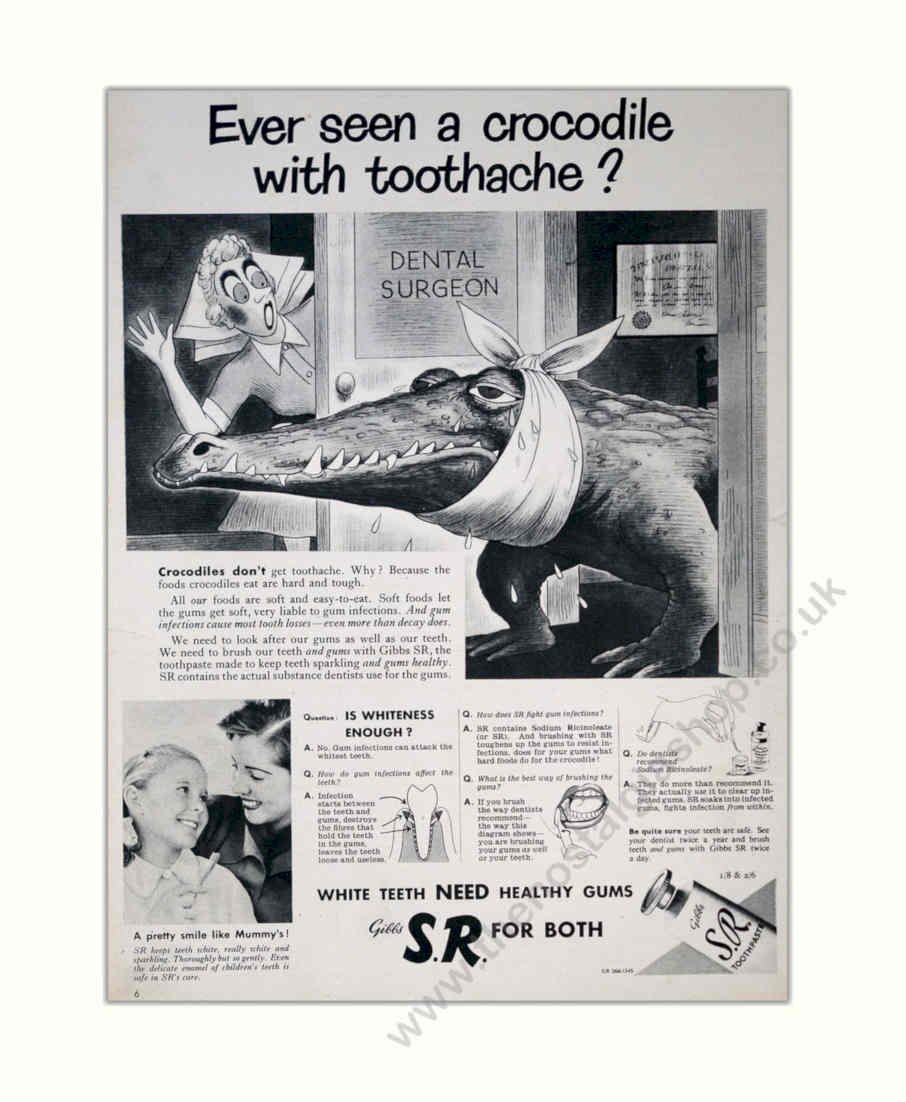 Dental Crocodile Wisdom Vintage Retro Advert Poster A4 Photo Print