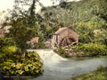 Derbyshire Ashford Old Mill Vintage A4 Photo Print