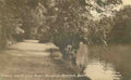 Derbyshire Matlock Bath River Derwent and Lovers Walk Vintage A4 Photo Print