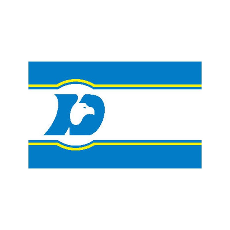 Desoto City Flag N6206 A4 Photo Print