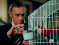Detective Birdcage Macaw 1980s Vintage Retro Advert