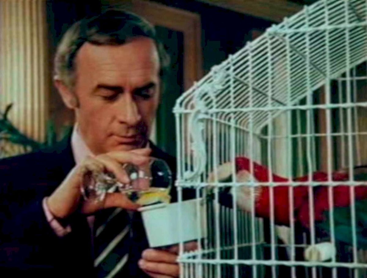 Detective Birdcage Macaw 1980s Vintage Retro Advert