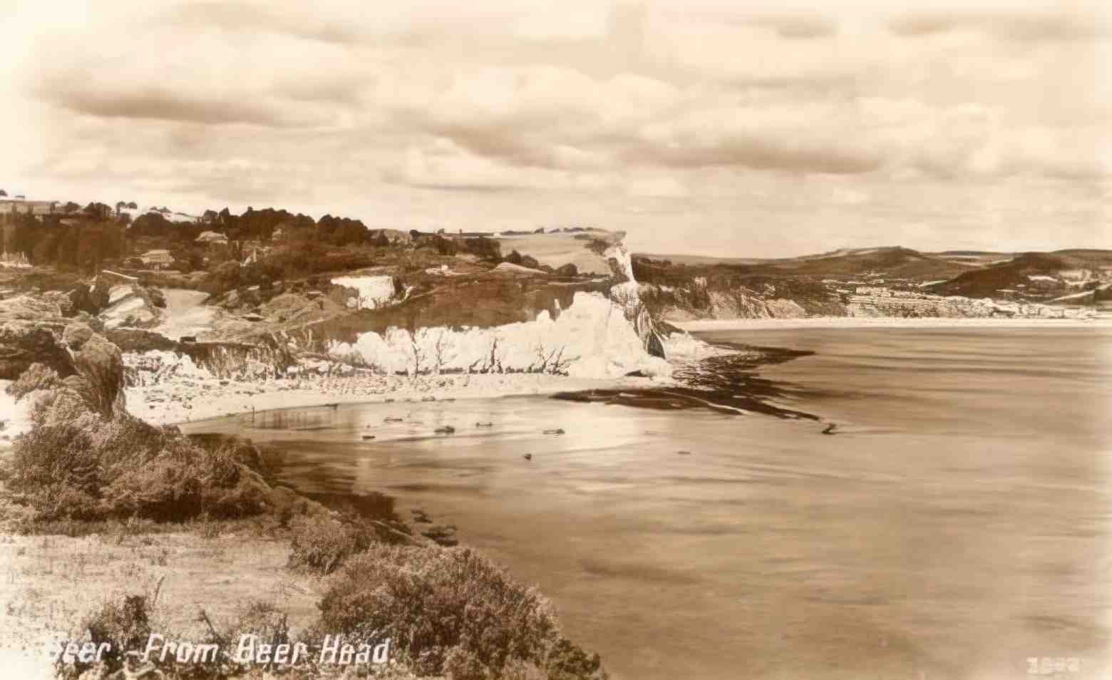 Devon Beer from Beer Head 1950's Vintage A4 Photo Print