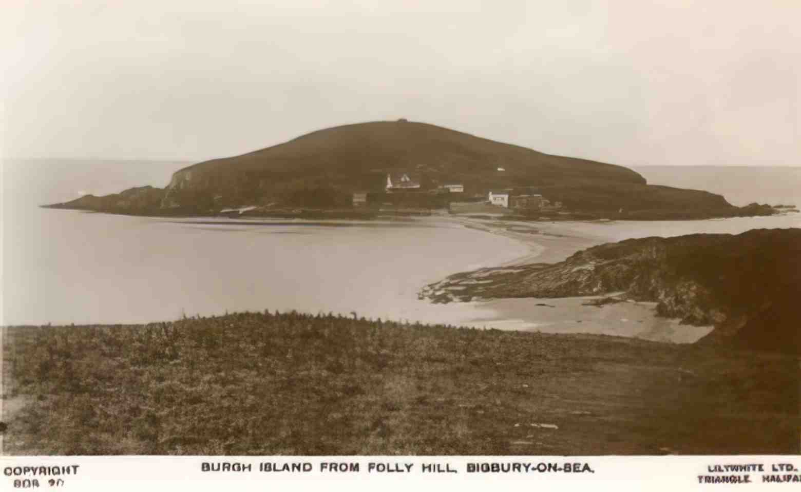 Devon BigburyonSea Burgh Island from Folly Hill Vintage A4 Photo Print