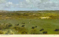 Devon Braunton Burrows 1960s Braunton is possibly the largest village in Engla Vintage A4 Photo Print