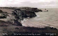 Devon Brixham Berry Head from St Marys Bay 1930s Vintage A4 Photo Print