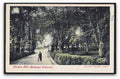 Devon Budleigh Salterton Knowle Hill Man Poses With Bicycle Rural Road Vintage A4 Photo Print