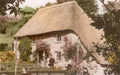Devon Cockington Rose Cottage Vintage A4 Photo Print