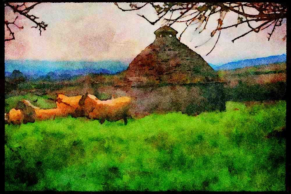 Devon England 291001 The Dovecote, Pridhamsleigh A4 Limited Edition Watercolour Print