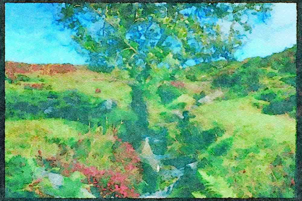 Devon England 291002 Stream Near Grimspound A4 Limited Edition Watercolour Print
