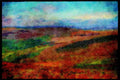 Devon England 291003 Heather, Dartmoor A4 Limited Edition Watercolour Print