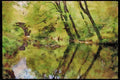 Devon England 291007 The Dart At Holne Bridge, Spring A4 Limited Edition Watercolour Print