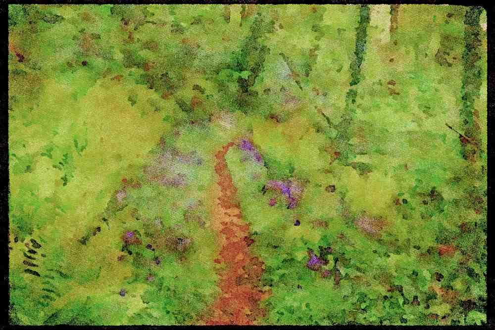 Devon England 291033 Bluebells, Slapton Wood A4 Limited Edition Watercolour Print
