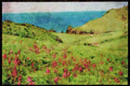 Devon England 291058 Soar Mill Cove A4 Limited Edition Watercolour Print