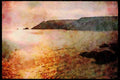 Devon England 291075 Bold Head A4 Limited Edition Watercolour Print