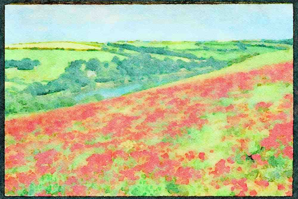 Devon England 291085 Poppies Above, Bowcombe A4 Limited Edition Watercolour Print