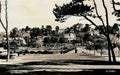 Devon Goodrington 1950s Vintage A4 Photo Print