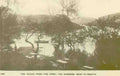 Devon Plymouth The Yealm from the Ferry Tea Gardens Vintage A4 Photo Print
