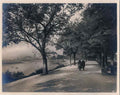 Devon Vintage020 A4 Photo Print
