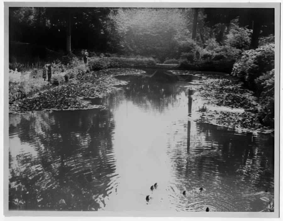 Devon Vintage072 A4 Photo Print