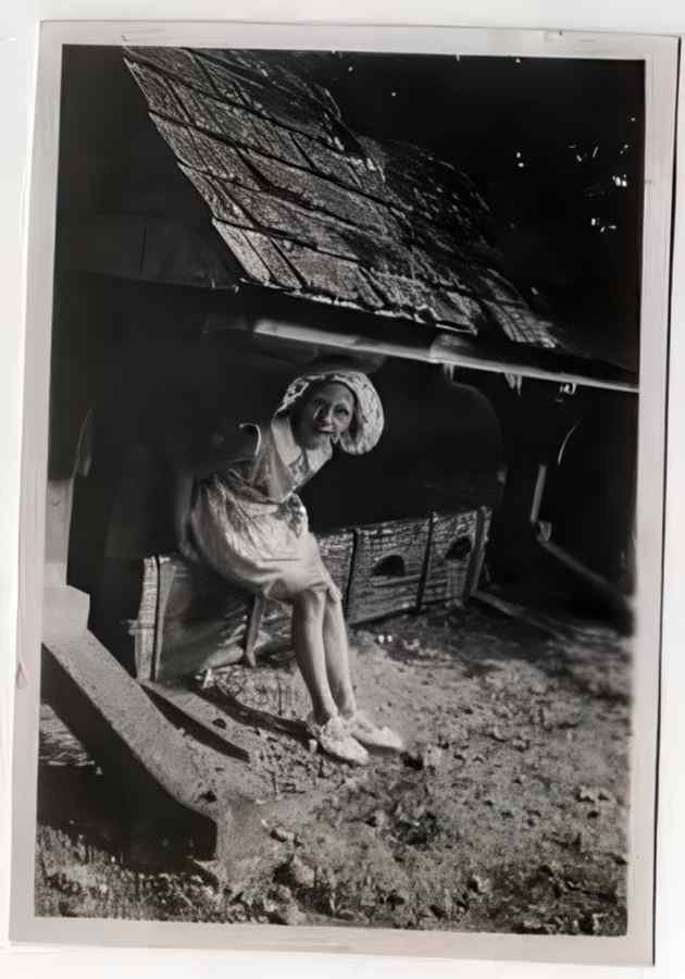 Devon Vintage132 A4 Photo Print