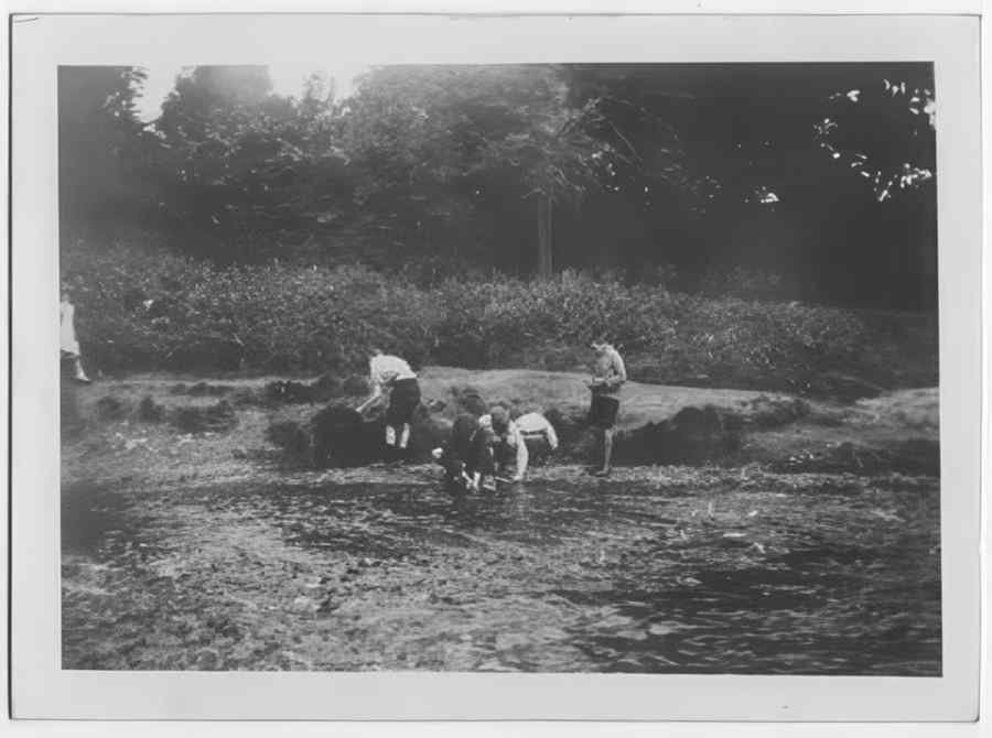 Devon Vintage146 A4 Photo Print