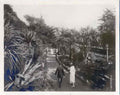 Devon Vintage148 A4 Photo Print