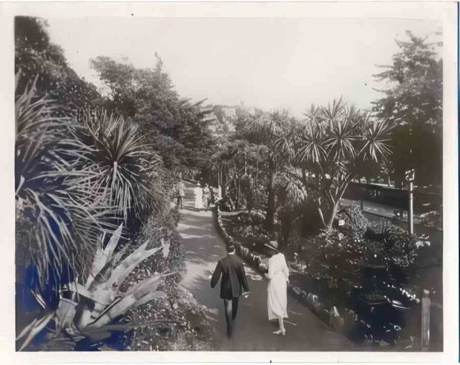 Devon Vintage148 A4 Photo Print
