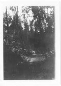 Devon Vintage173 A4 Photo Print