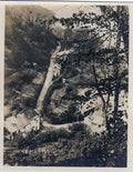 Devon Vintage183 A4 Photo Print