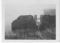 Devon Vintage205 A4 Photo Print