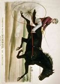 Direct Horse A4 Photo Print