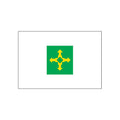 Distrito Federal Flag N4799 A4 Photo Print