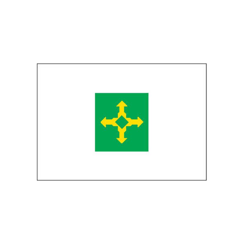 Distrito Federal Flag N4799 A4 Photo Print