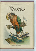 Does Polly want a cracker PUCK A4 Photo Print